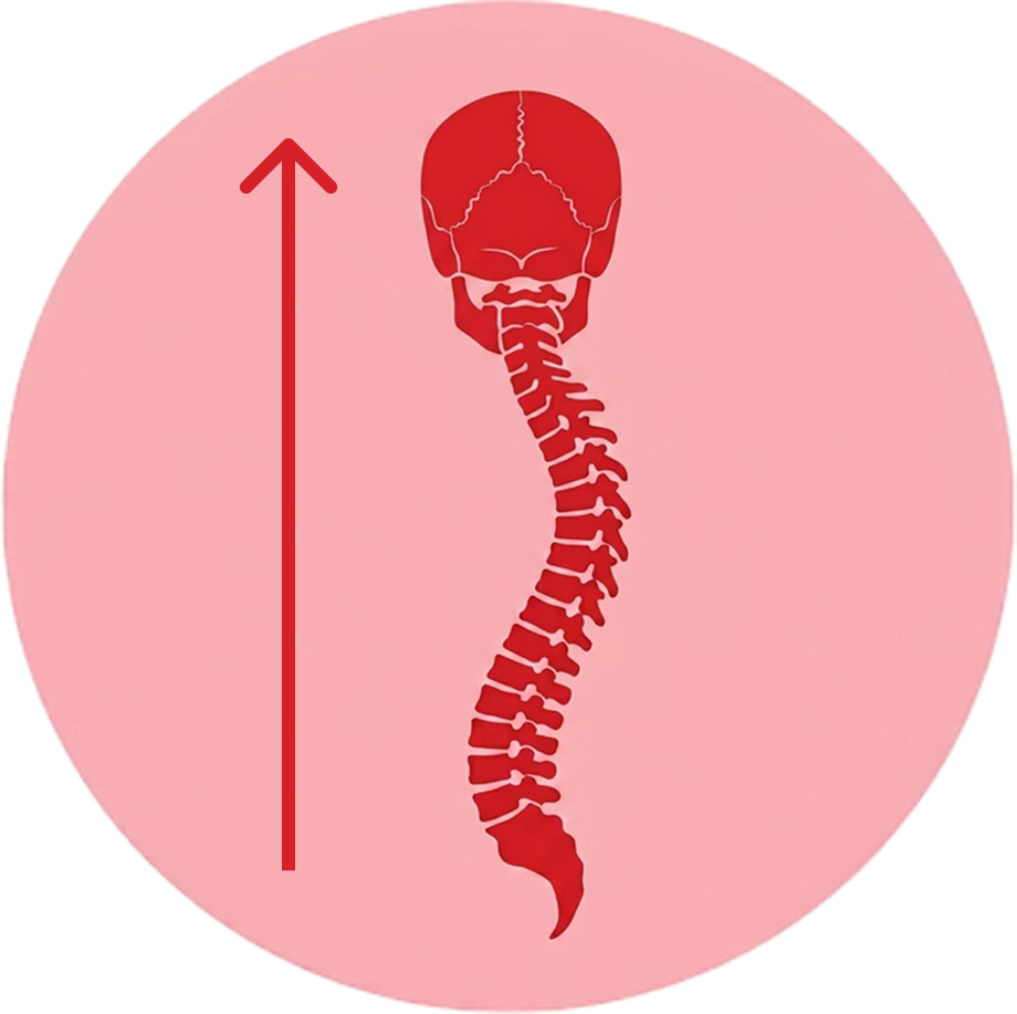 Schéma de la scoliose idiopathique de l'enfance